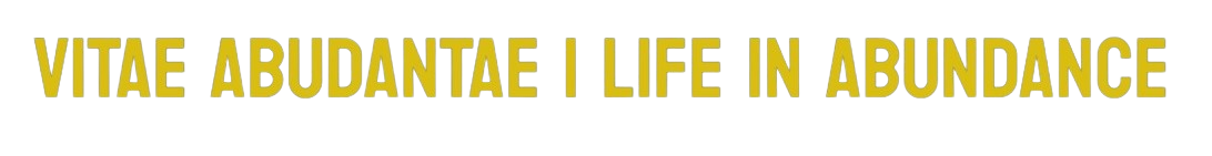 Football Federation logo